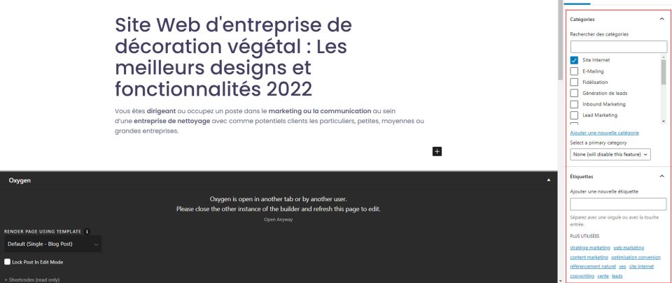 remplir étiquettes et catégorie article sur wordpress