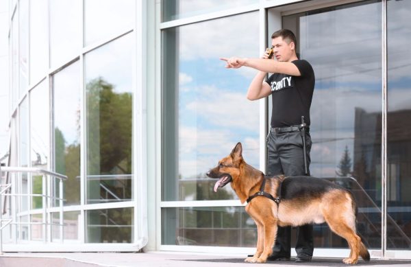 Formation agent de sécurité Bois-d'Arcy, Les centres, prix et financement