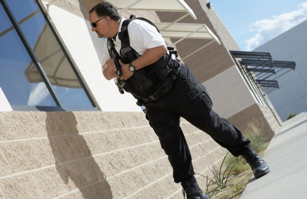 Formation agent de sécurité Vert-le-Petit, Les centres, prix et financement